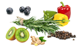 The TM Naturals The Best Natural Supplements in the Market!